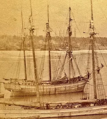 schooner trinidad in harbor schooner trinidad in harbor - Winona Journal