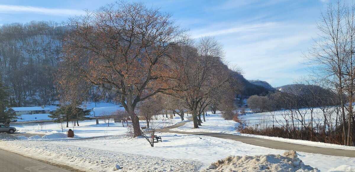 winter walk in the park 2025-12-16 winter walk in the park 2025 12 16 scaled - Winona Journal