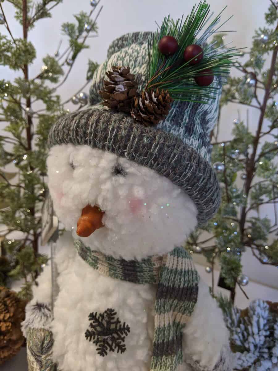 wna hosp holiday shop wna hosp holiday shop scaled - Winona Journal