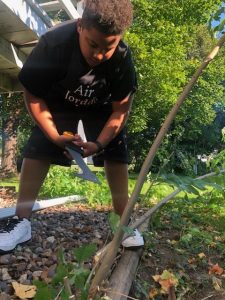 wna riverway studet voluteer fall clean-upp wna riverway studet voluteer fall clean upp - Winona Journal